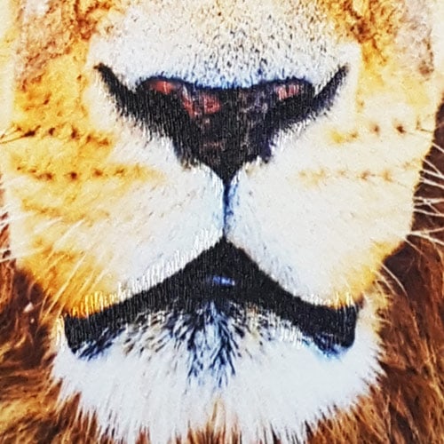 los-angeles-digital-sublimation-photographic-embroidery-photorealistic-embroidery-lions-mouth-custom-clothing